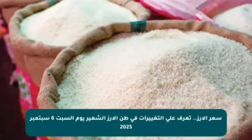 سعر الأرز.. تعرف على التغييرات في طن الأرز الشعير يوم السبت 6 سبتمبر 2025